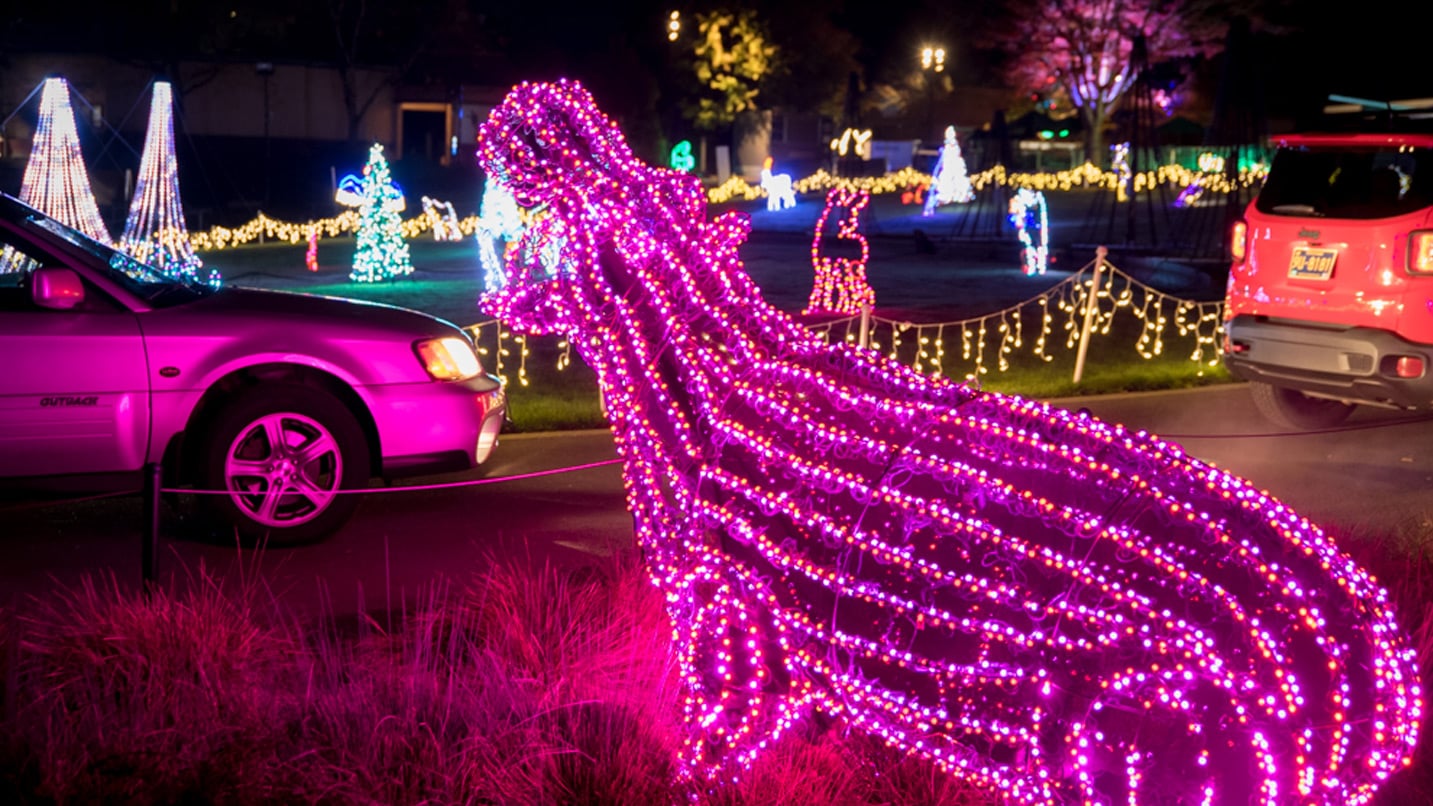Pink lights over a molded wire figure of a hippo roars at cars driving by.