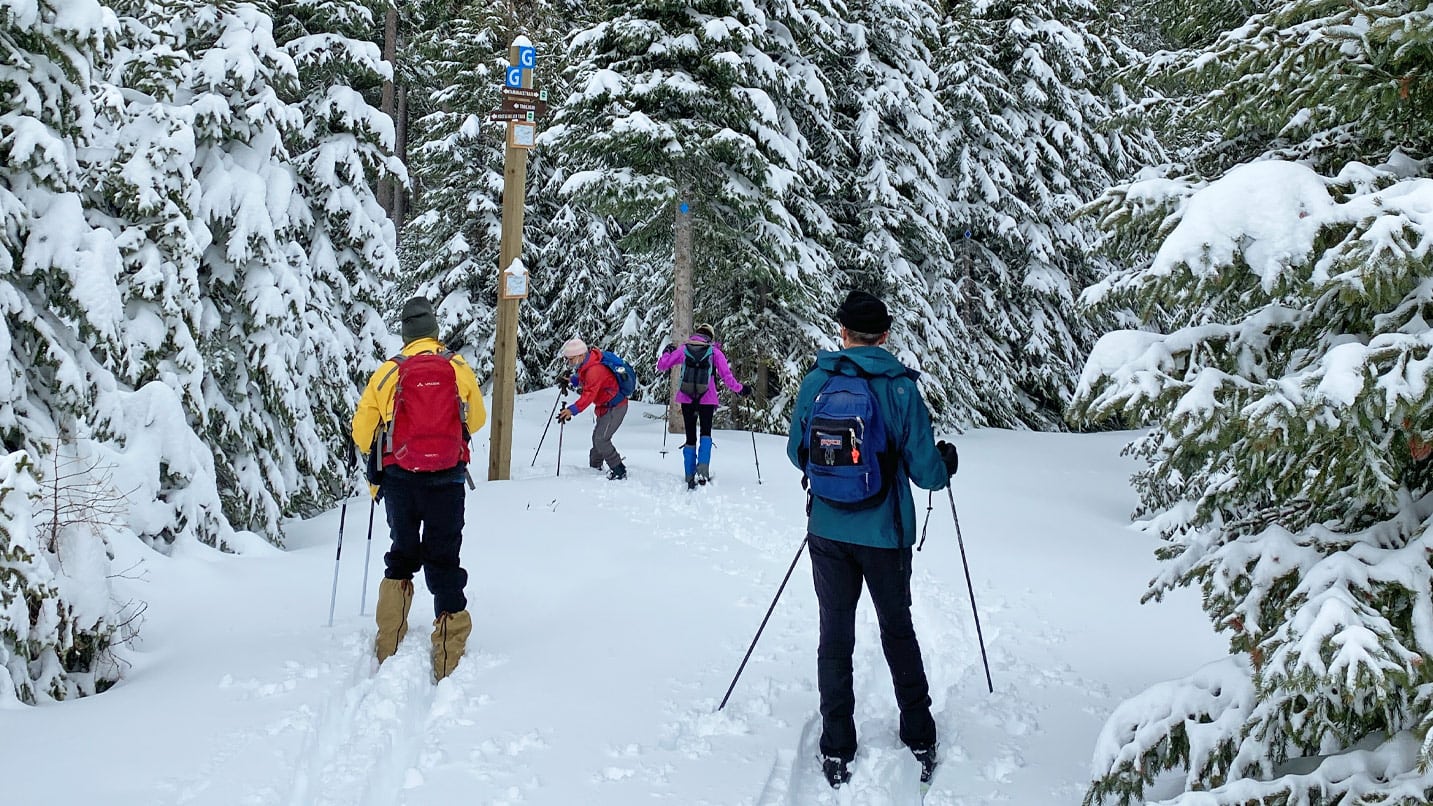 Four people walking on skis toward a mile post on a snow covered trail.