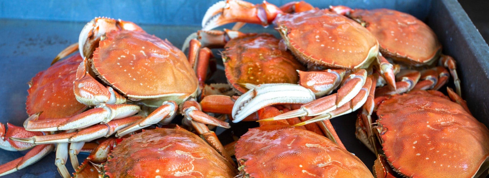 Crab, Concerts and Crafts in Coos Bay Travel Oregon