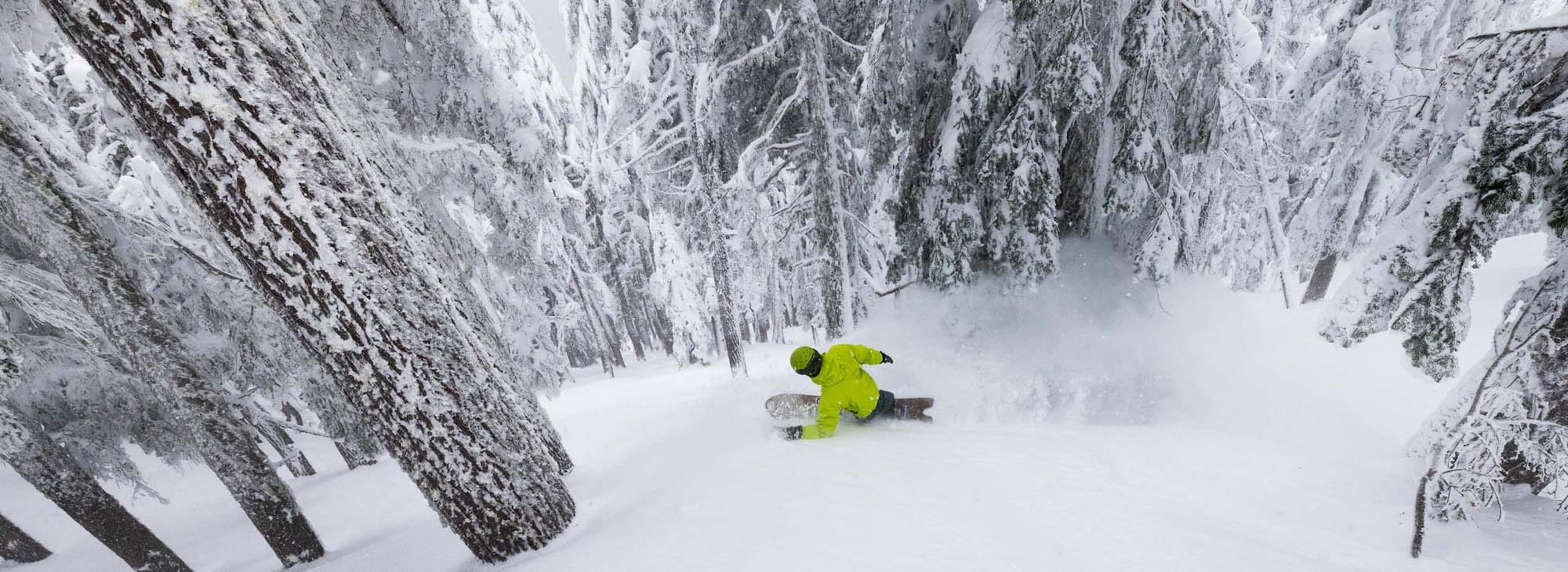 Josh Dirksen snowboarding steep trees.