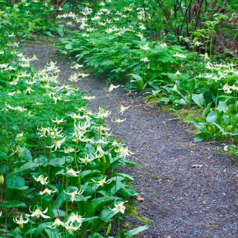 6 Spring Hikes in the Applegate Valley - Travel Oregon