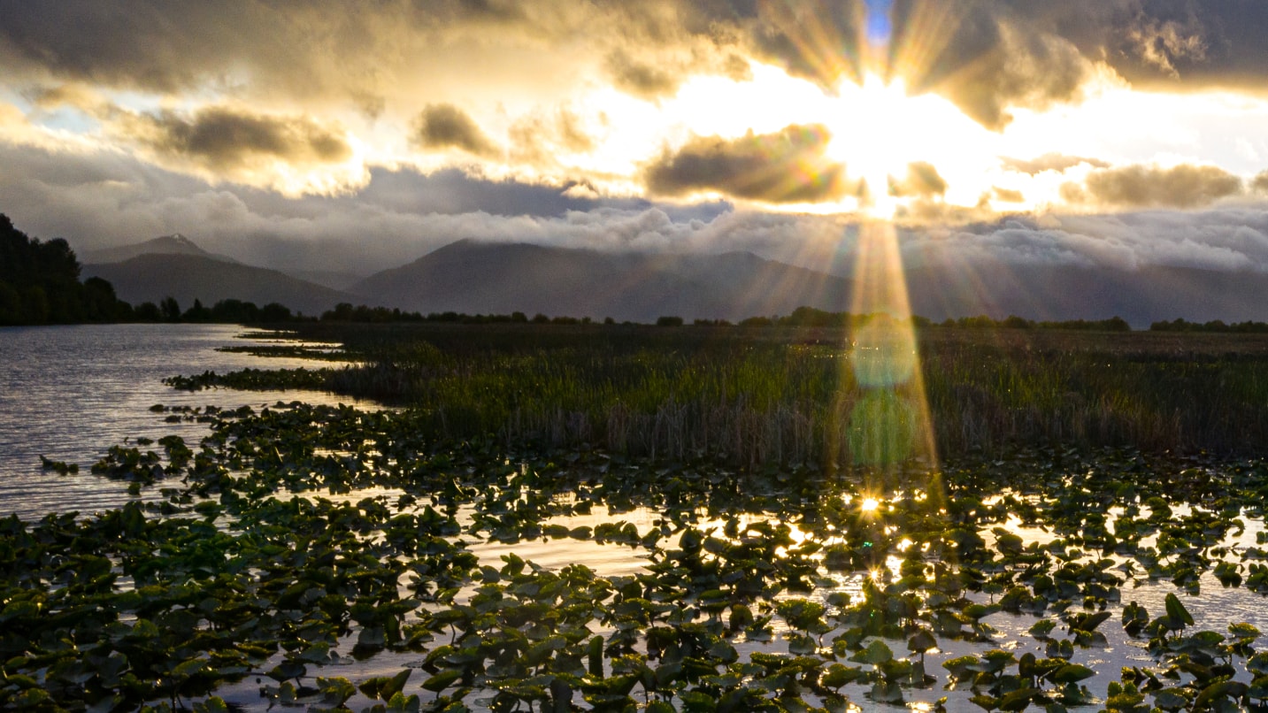 Sunlight shines down onto a marsh with clouds and mountains in background.