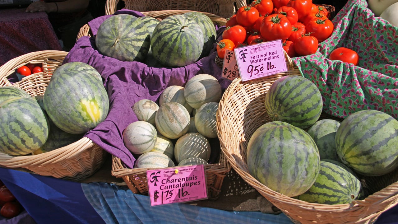 Baskets of a variety of sized watermelons and a smaller basket of cantaloupes and tomatoes.