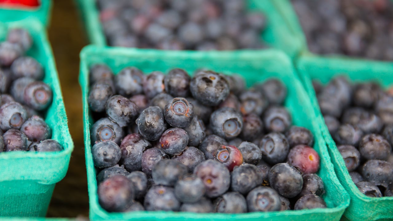 Containers of blueberries