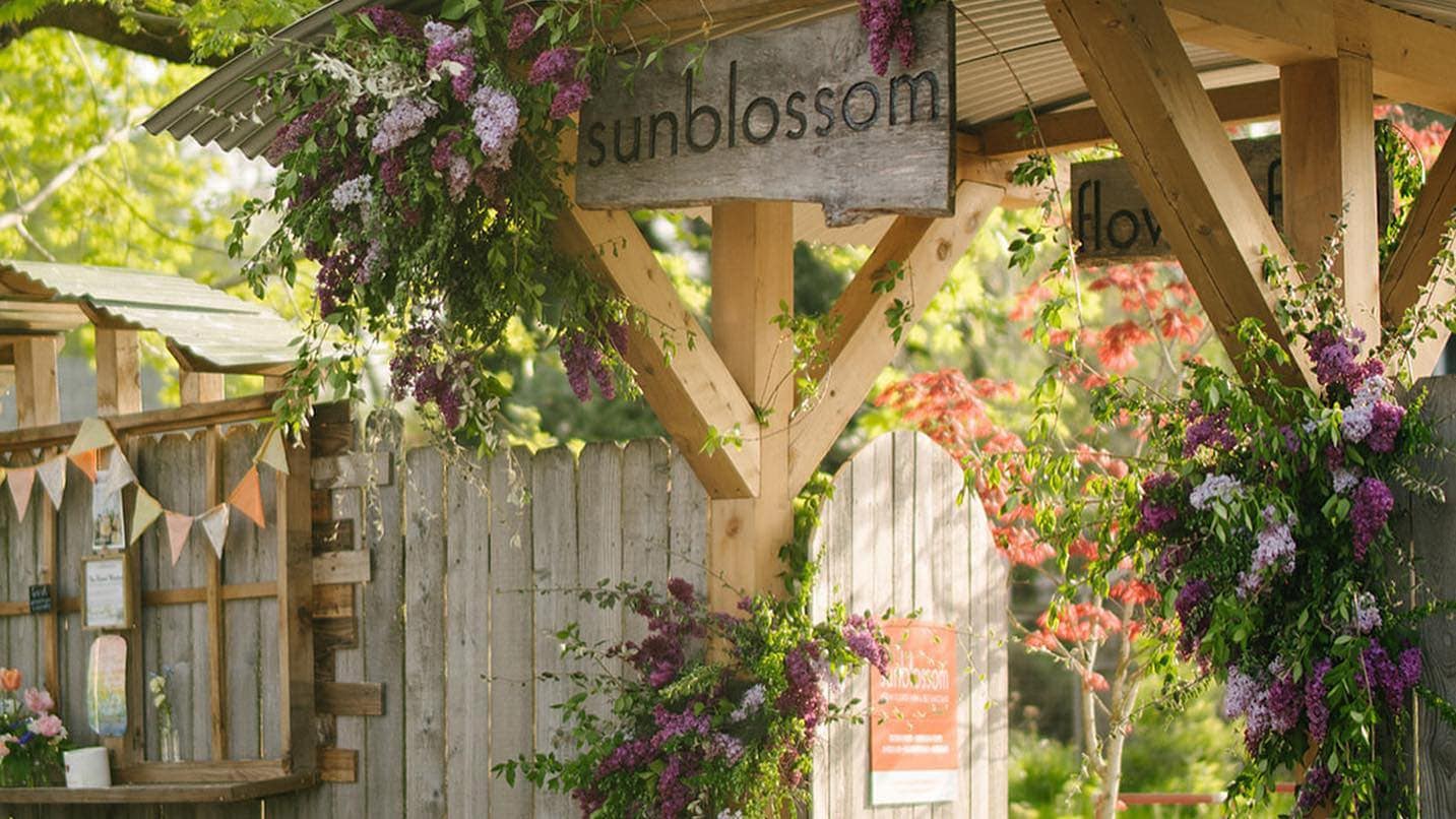 A flower lined wooden entrance and sign that reads sunblossom.
