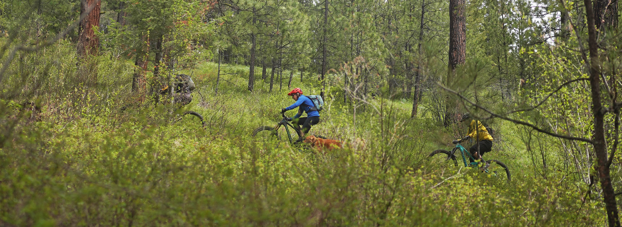 Mountain Biking for All in Eastern Oregon Travel Oregon