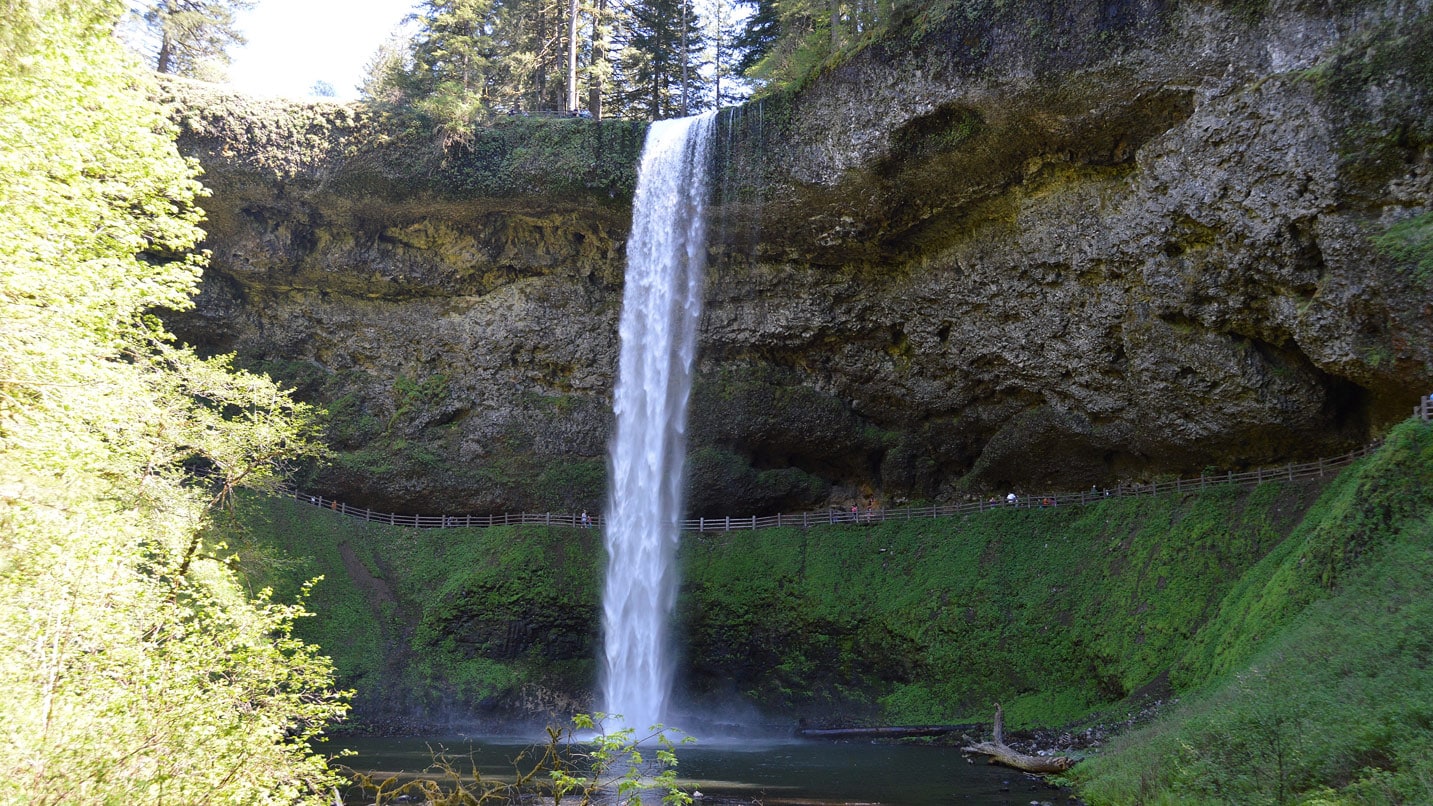 View of a waterfall at Silver Falls State Park