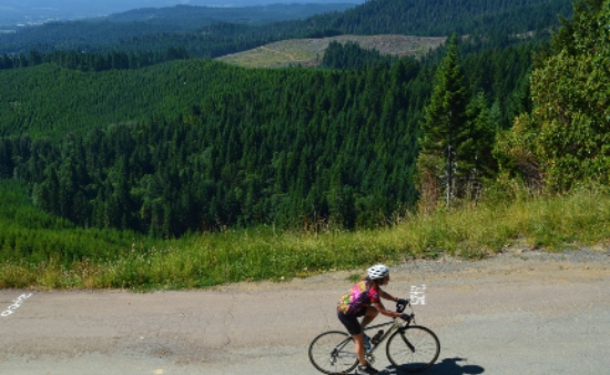 cyclist on hill with forest in background