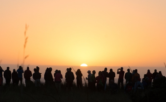 people in silhouette looking at the orange sunset
