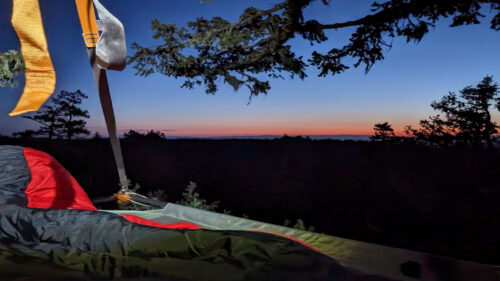 cot and sleeping bag in a tree with night sky all around