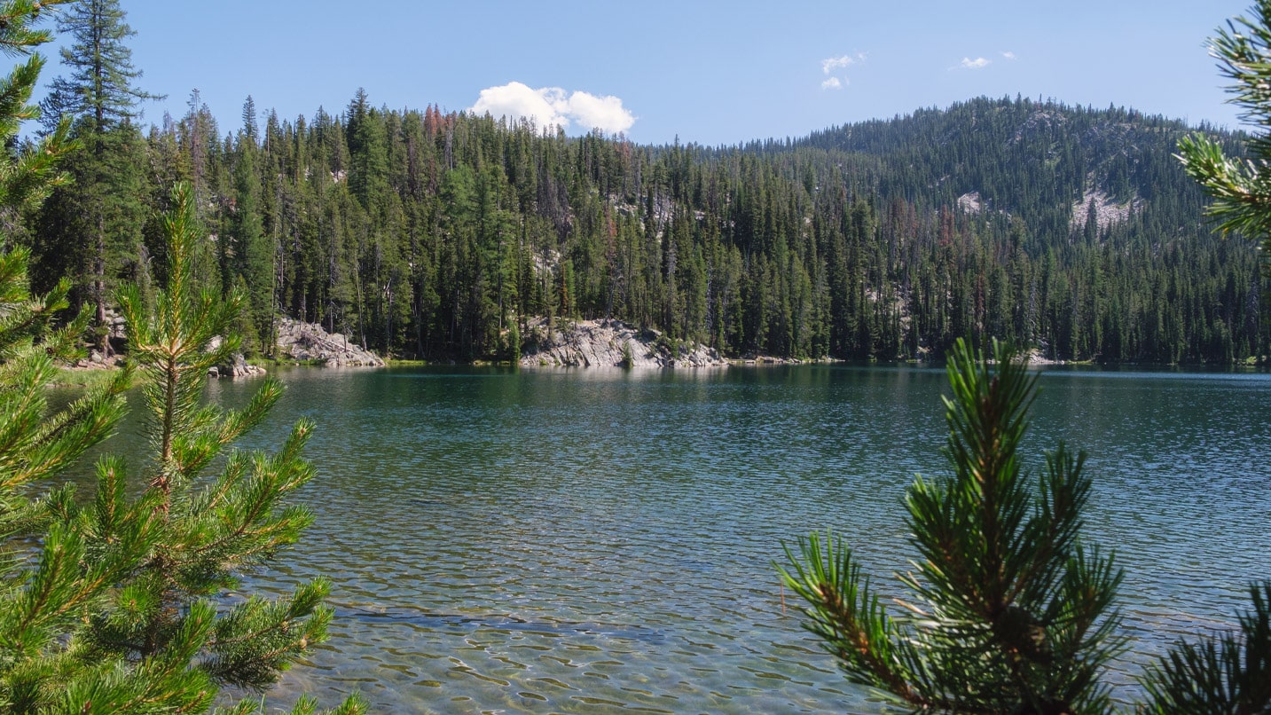 Crawfish Lake surrounded by pine evergreens.