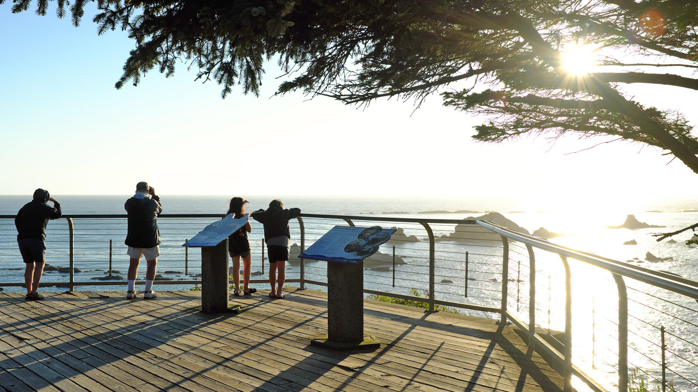 People look at ocean on wooden overlook deck with signage