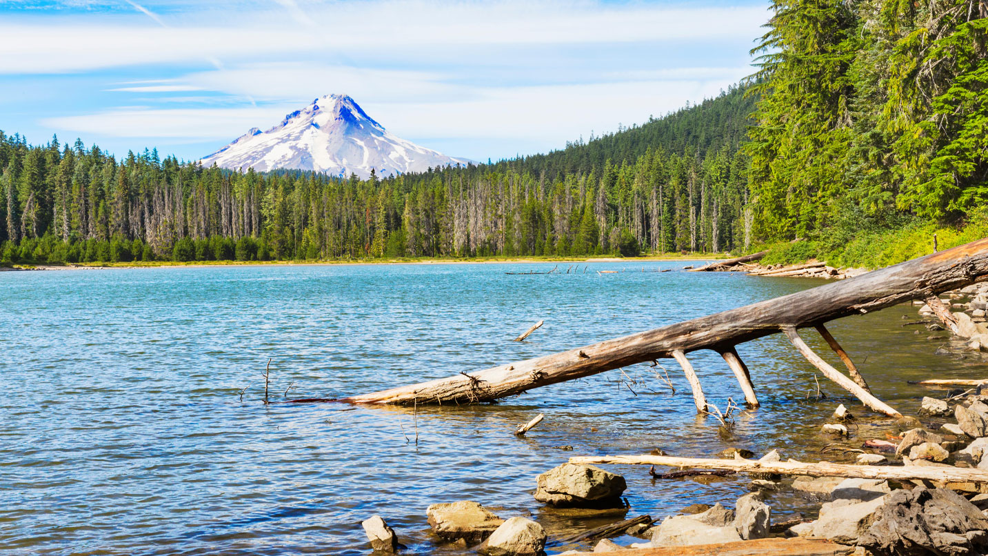 Image of a lake surrounded by conifers. Mt. Hood is visible over the tree line.