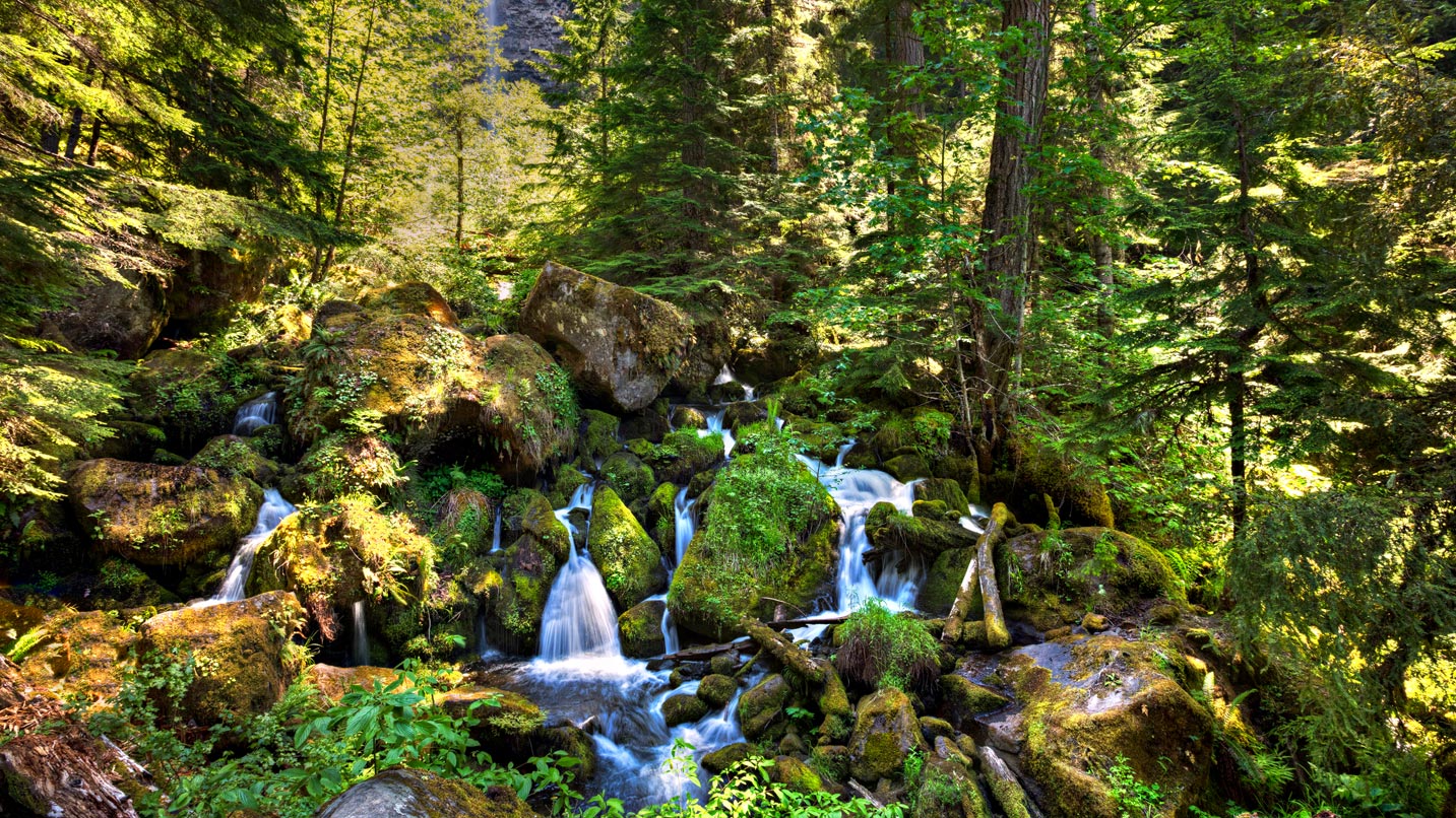 Waterfalls on a mossy cliff running through large boulders to a stream.
