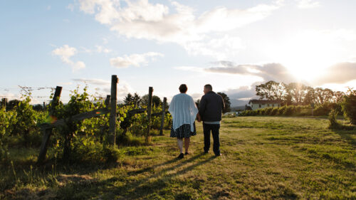 A couple holding hands walking through a vineyard.