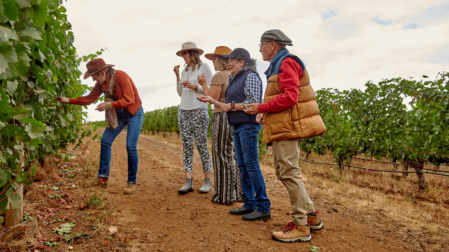 A group of people stop to pick grape from a vine to enjoy on a hike.