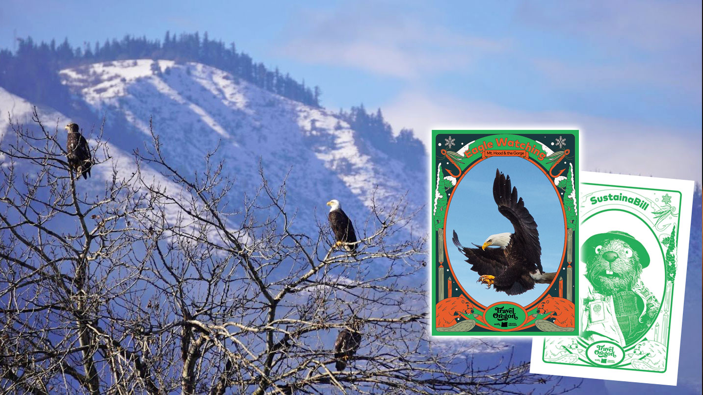 Eagles perch in trees with snow packed mountains in the distance. SustainaBill's playing card is right of the tree.