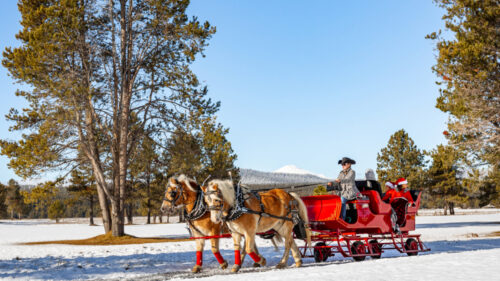People on red sleigh pulled by two horses in the snow