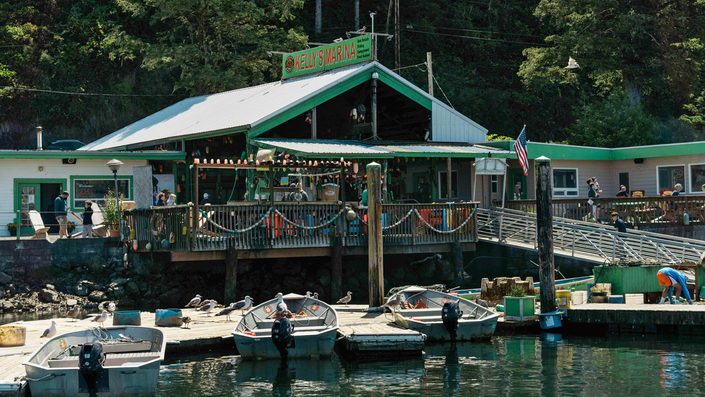 View of a marina with boats and a dock visible.