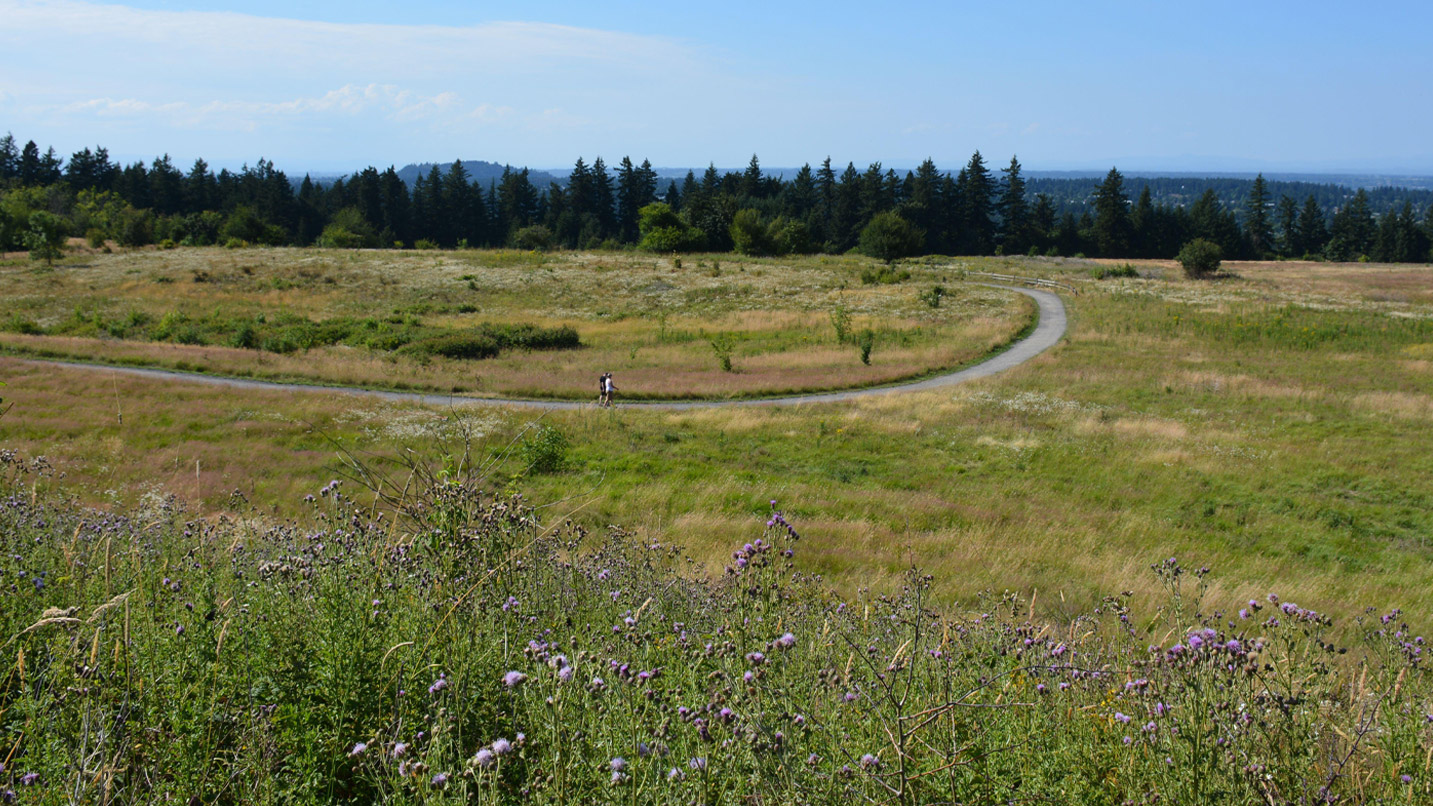In the distance, two people walk along a paved trail through a meadow at Powell Butte Nature Park.