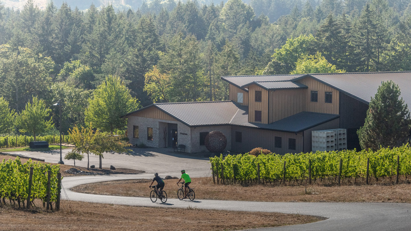 Bicyclists on a paved road leading to a winery and vineyard.