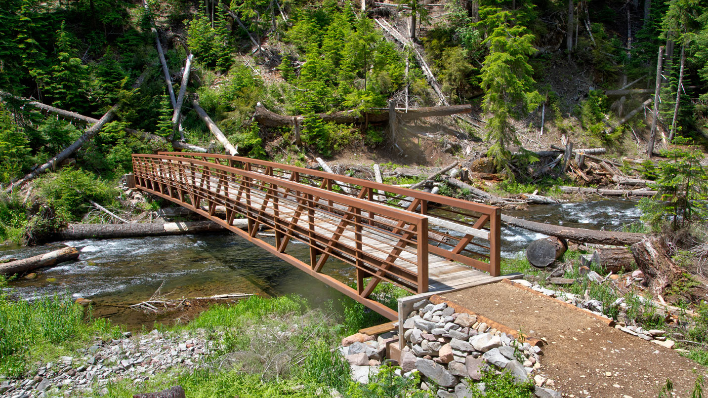 A bridge over a rushing creek on a trail.