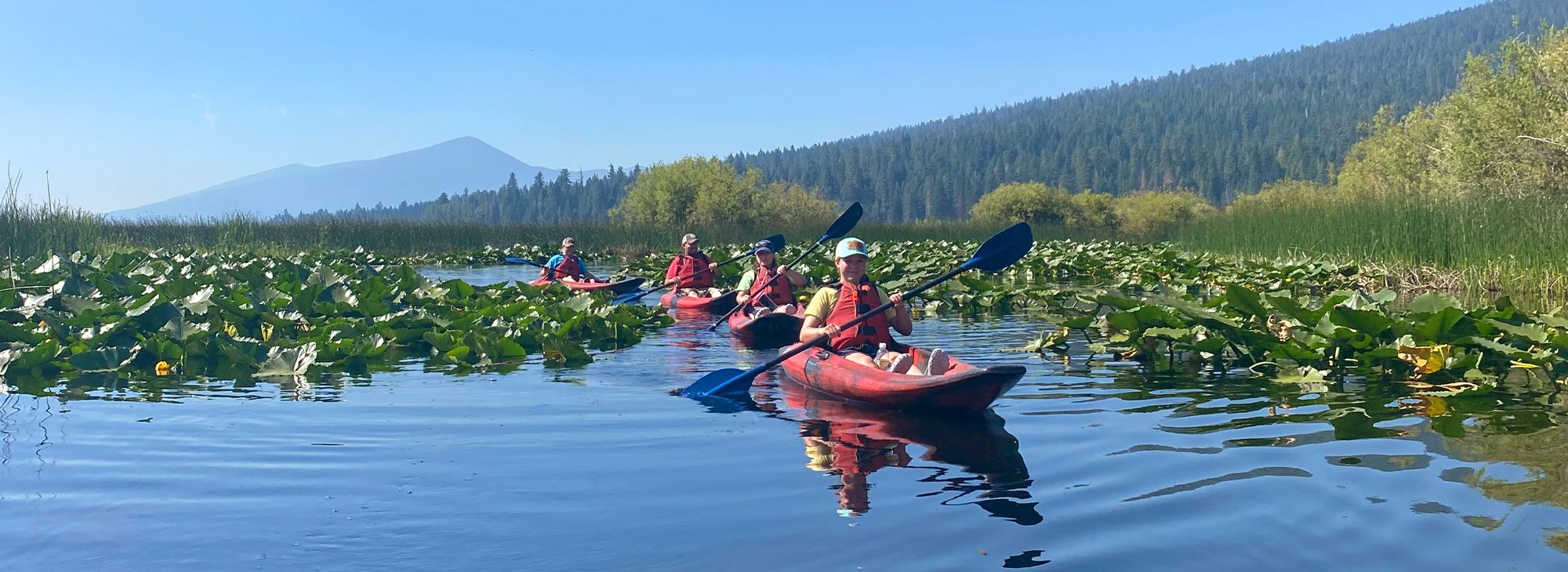 4 people in kayaks paddle through waterway with plants
