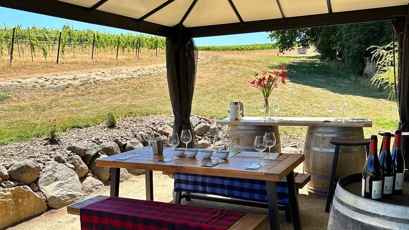 Table with wine glasses and bowls on a red-and-blue checked tablecloth; surrounded by vineyard, barrels, and flowers under a gazebo on a sunny day.
