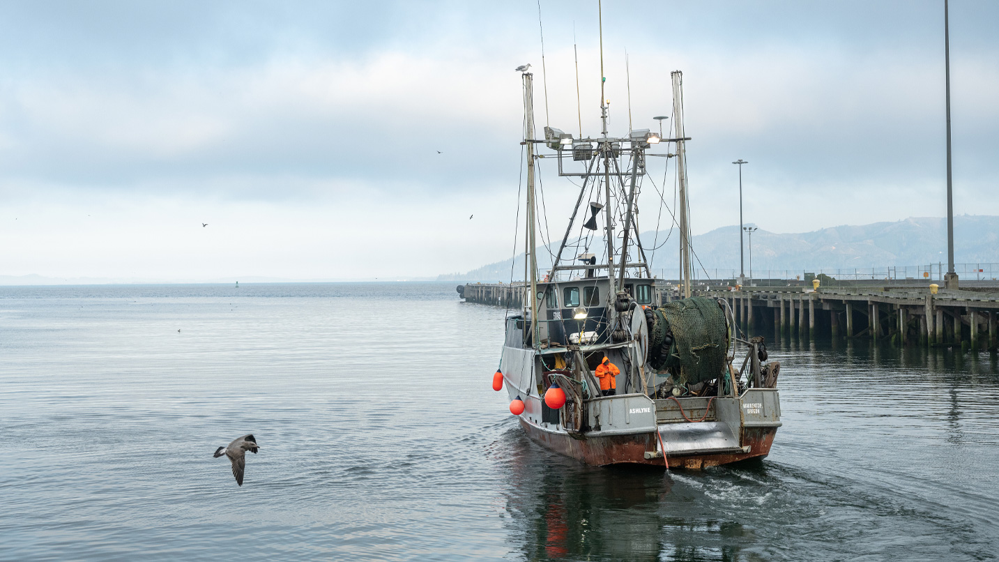 Fishing boat with orange buoys and a crew member in orange gear moves away from a dock in a calm, open sea, surrounded by a few birds. Boat name: "ASHLYNE."