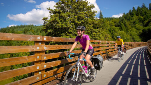 Two cyclists ride across a tall trellis bridge.