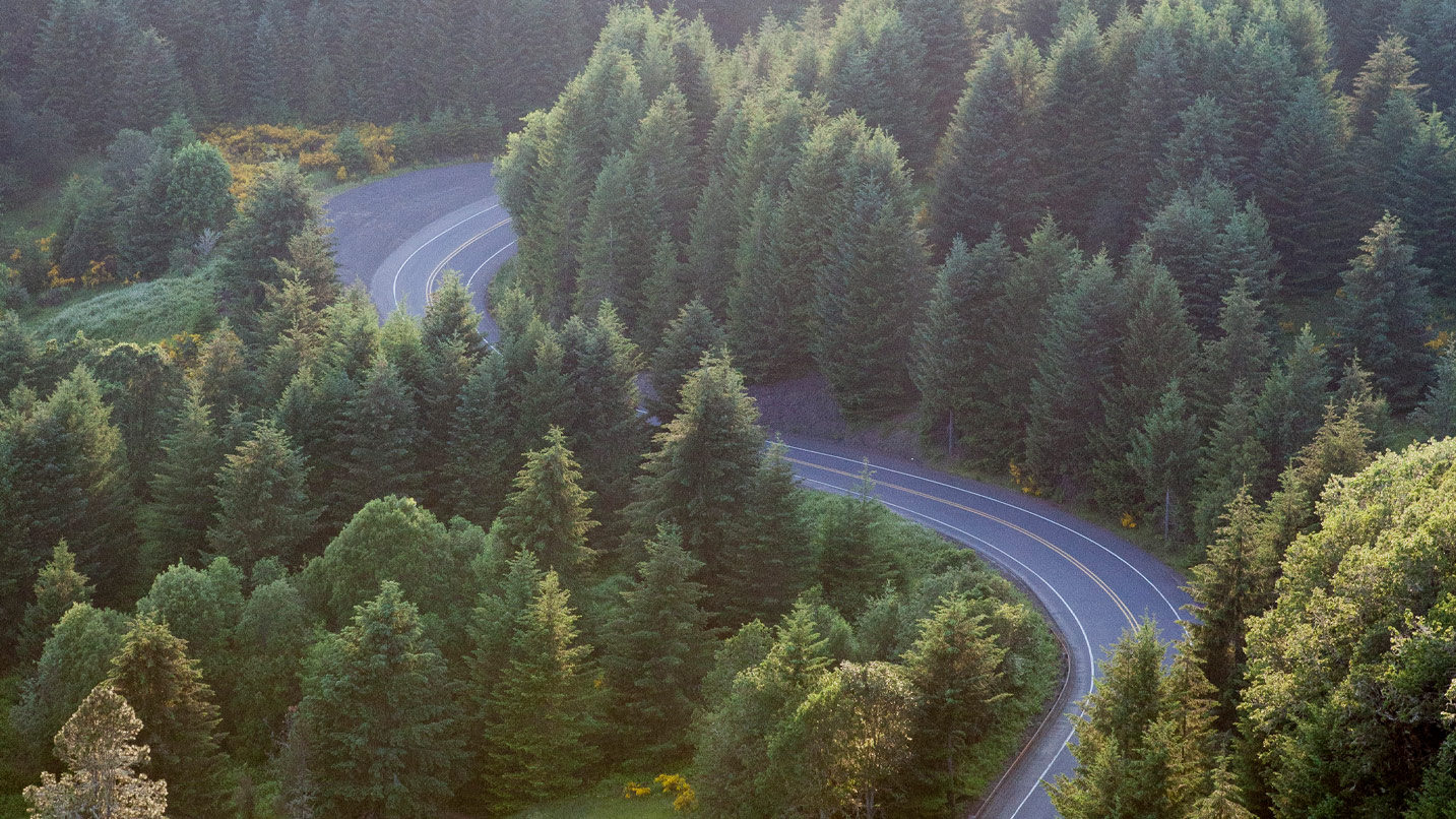 An aerial view of a curvy forested road.