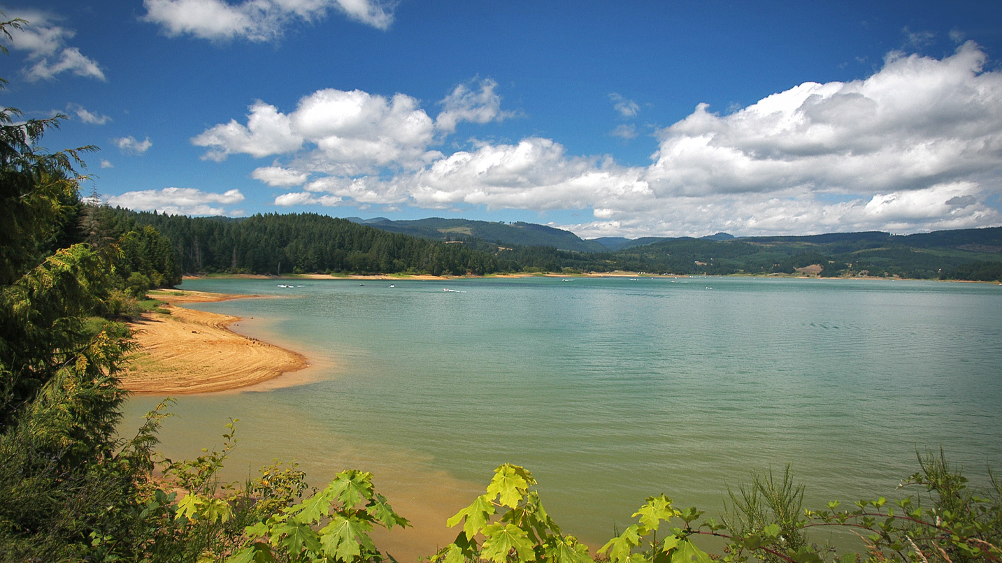 A large lake surrounded by trees.