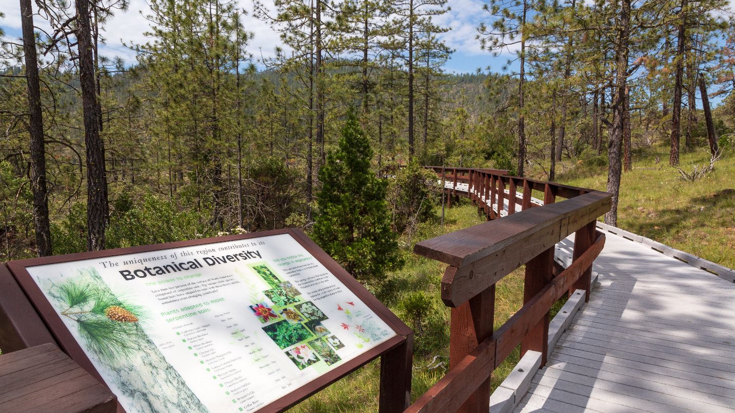"Botanical diversity" sign along wooden boardwalk with trees all around
