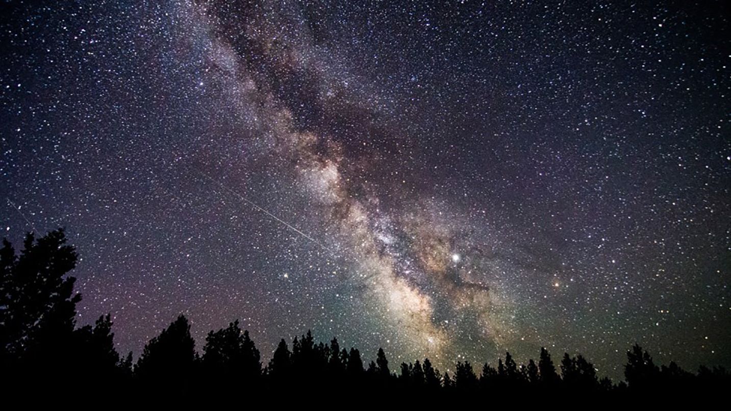 Dark sky with stars and milky way above the treeline
