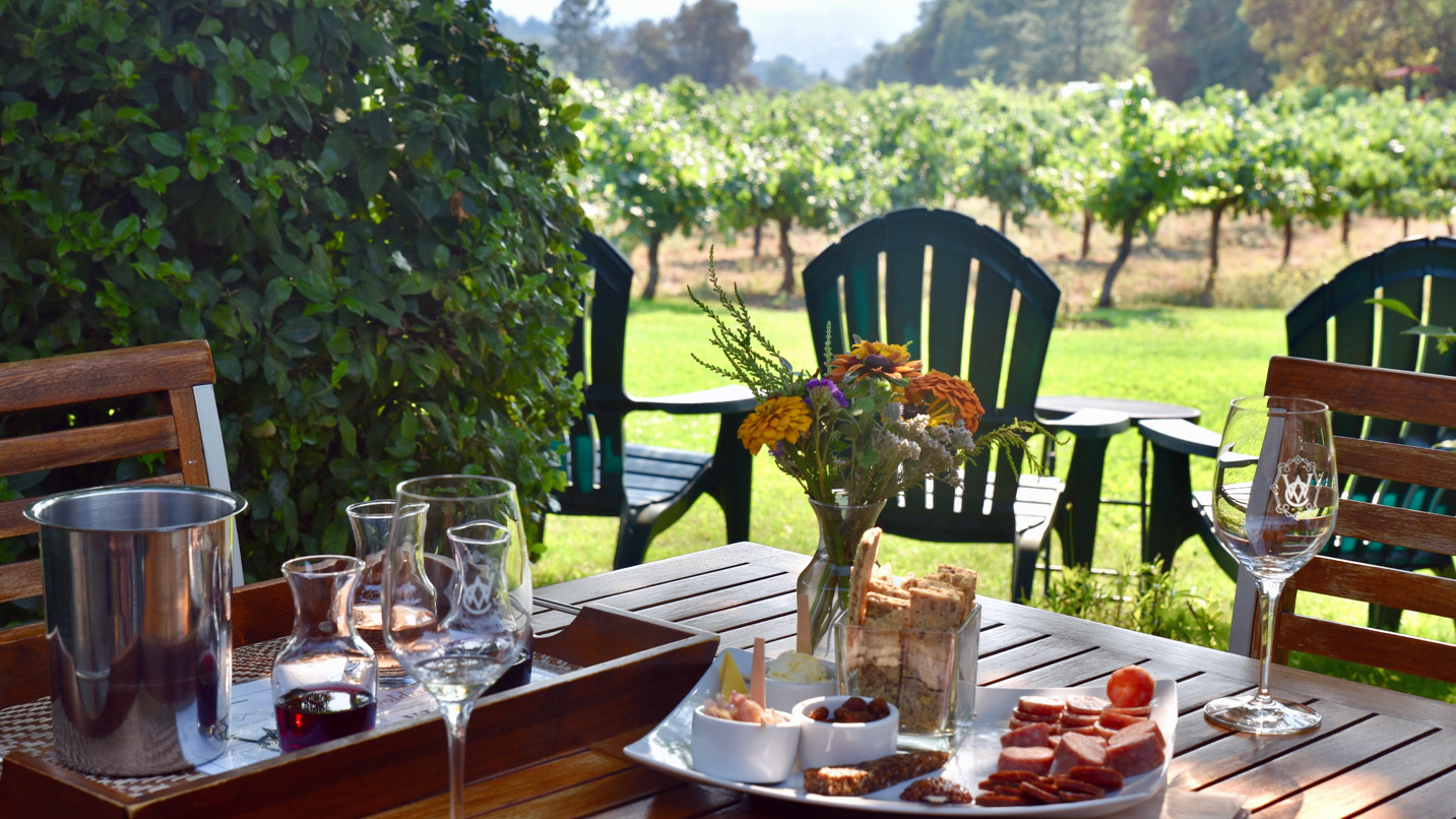 Plates of food and wine on an outside picnic table with a view of vineyards.