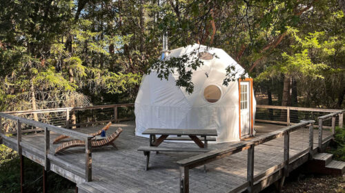 A white-domed tent on a deck surrounded by trees.