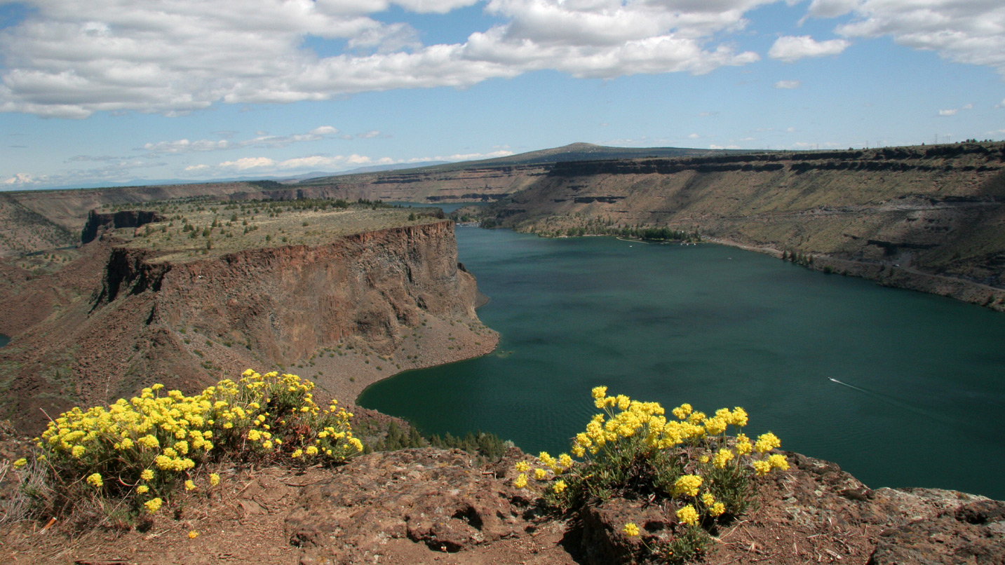 View from a trail viewpoint of the Deschutes River flowing through a canyon.