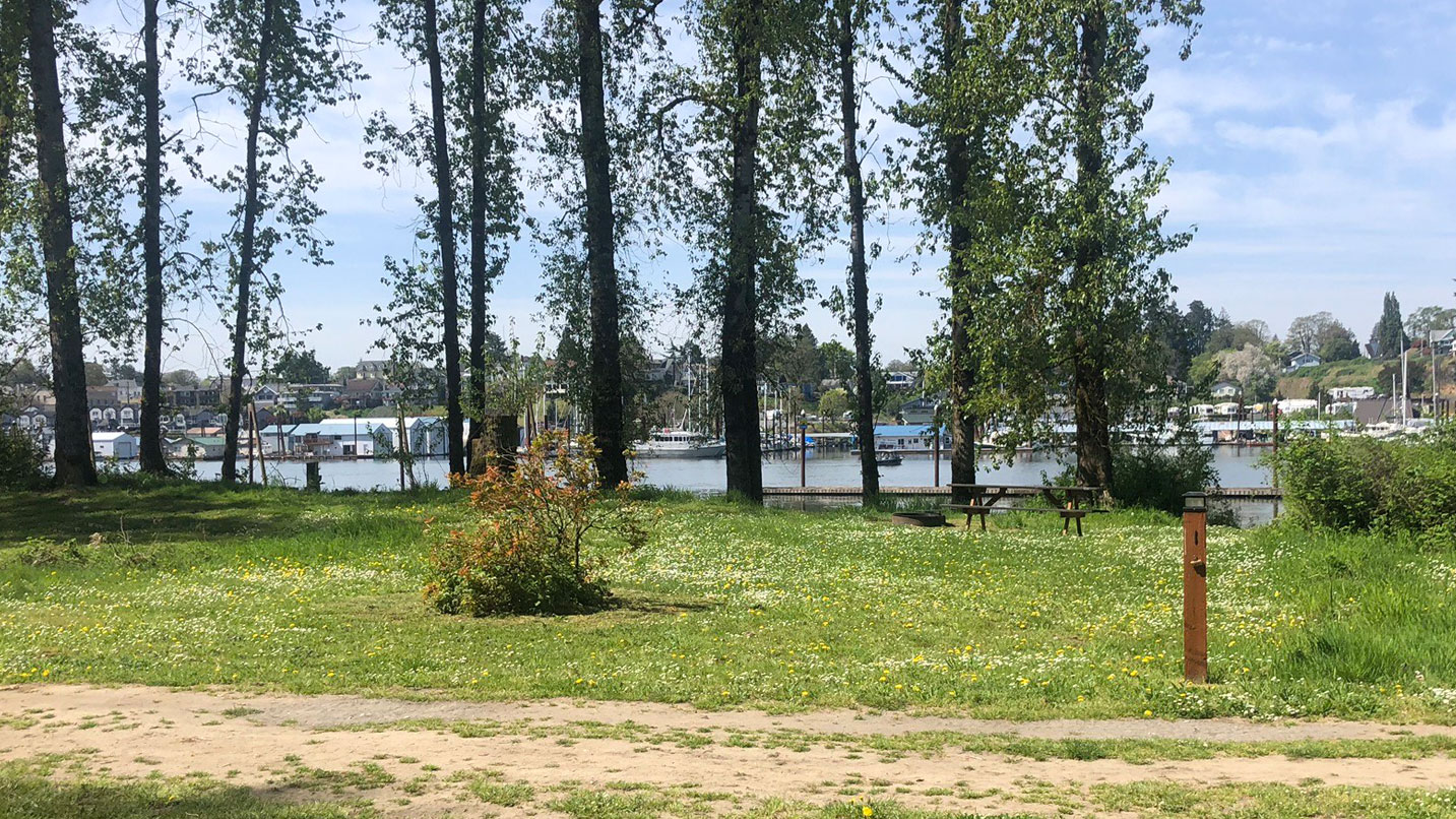 A grassy and sandy campground area.