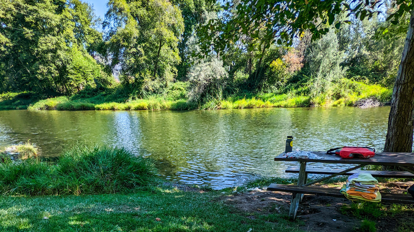 A picnic table near the edge of a river under a shady tree.