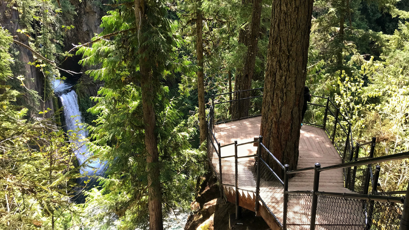 A staircase leading to a small deck built around a tree with a view of the Toketee Falls waterfall.