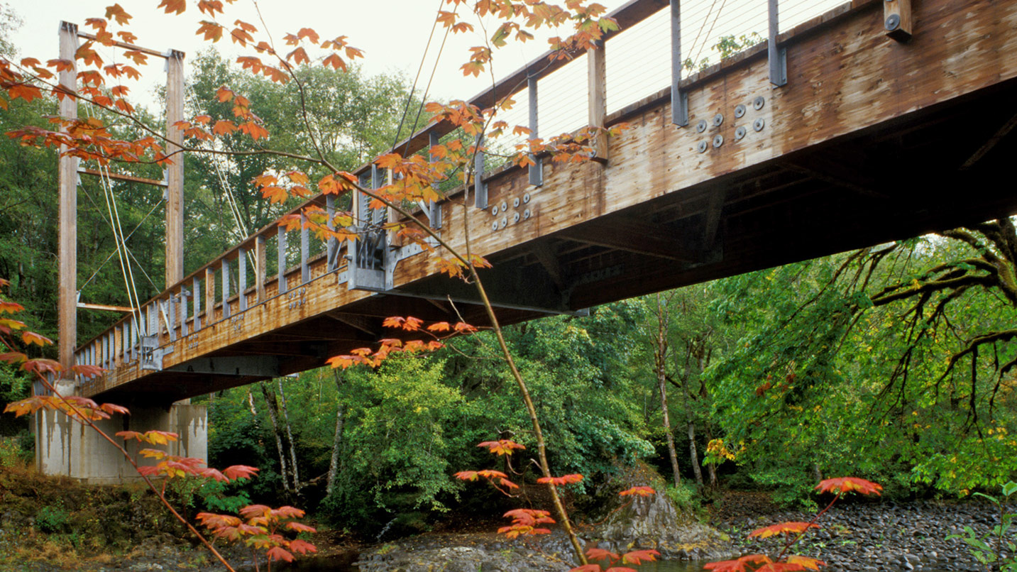 A pedestrian suspension bridge over a river with fall leaves in the foreground.