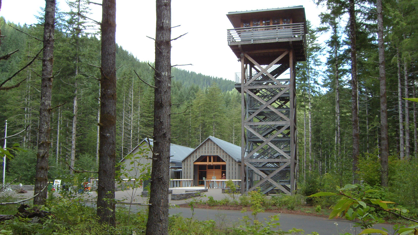 A tall fire tower lookout stands next to the forestry center building.
