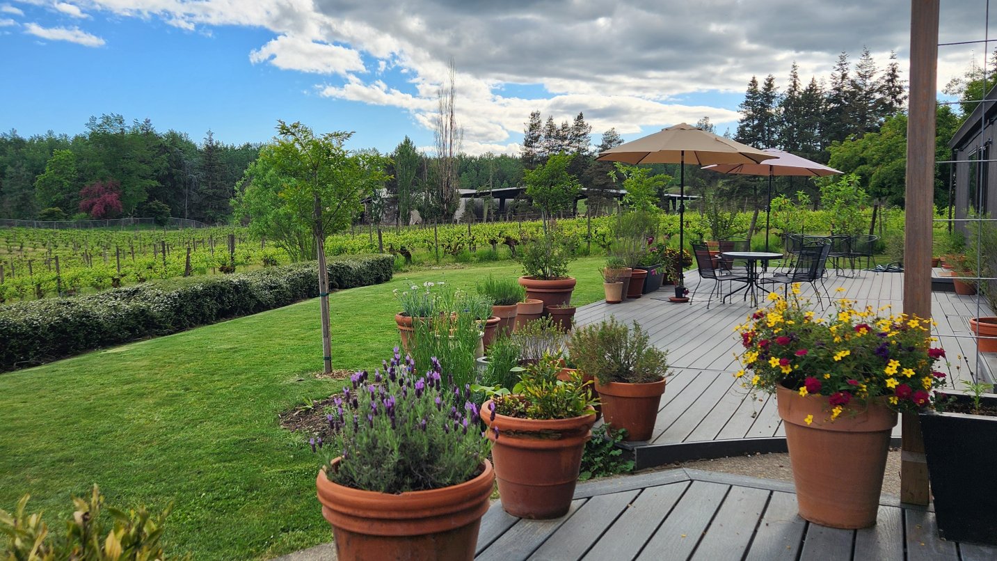Colorful flower planters on a wooden deck in foreground and grass and vineyards in background