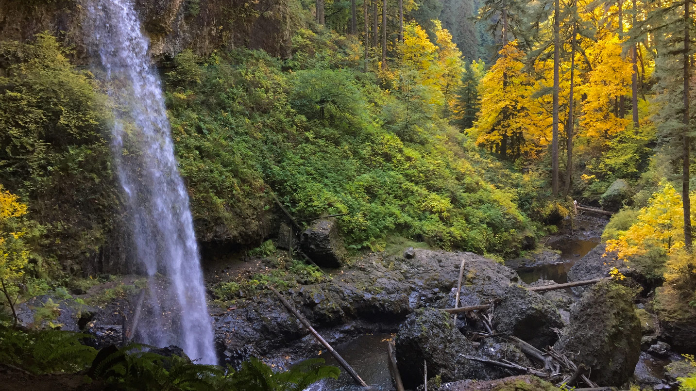 A waterfalls flows into a creek with fall leaves in the background.