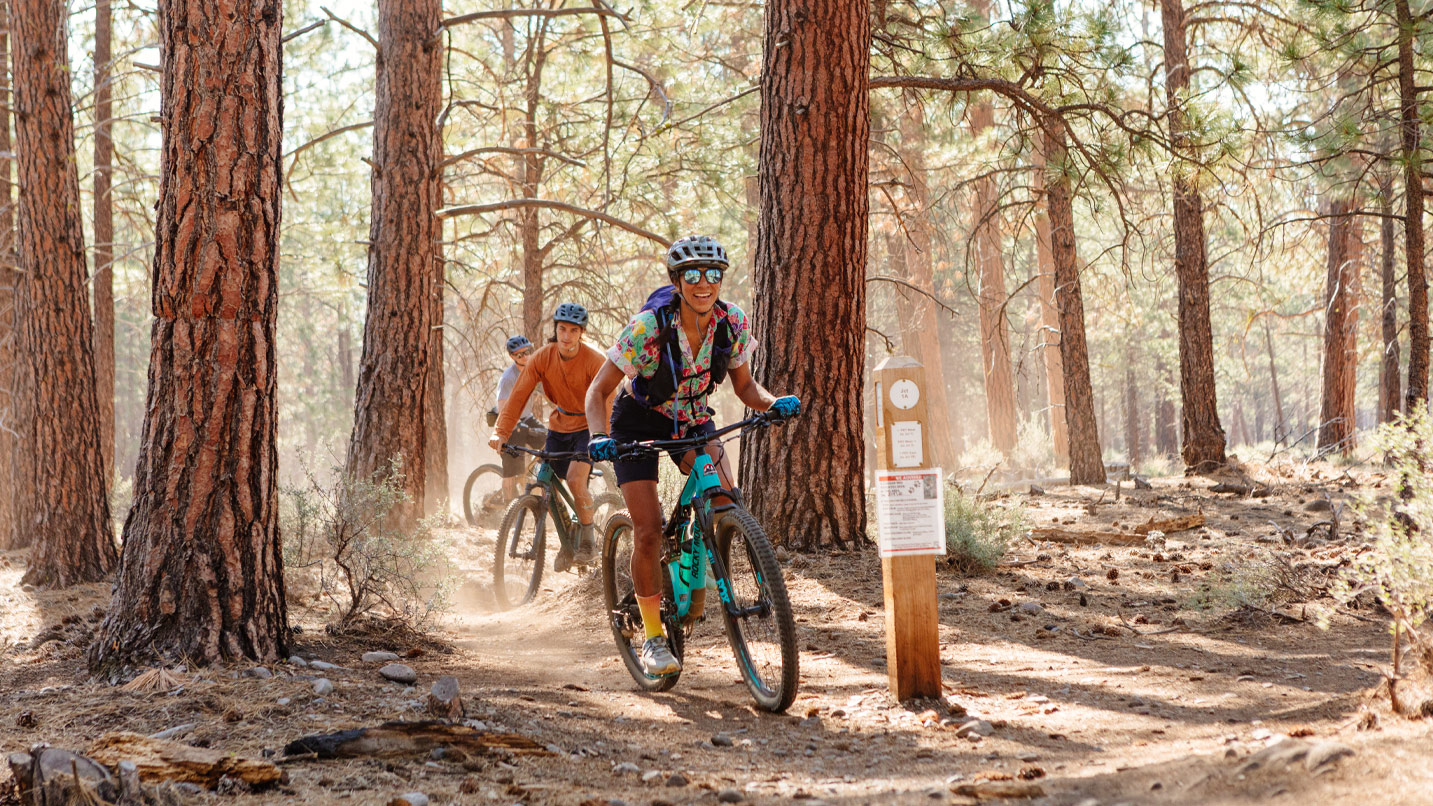 A group of people bike along a narrow trail through Ponderosa pine trees.