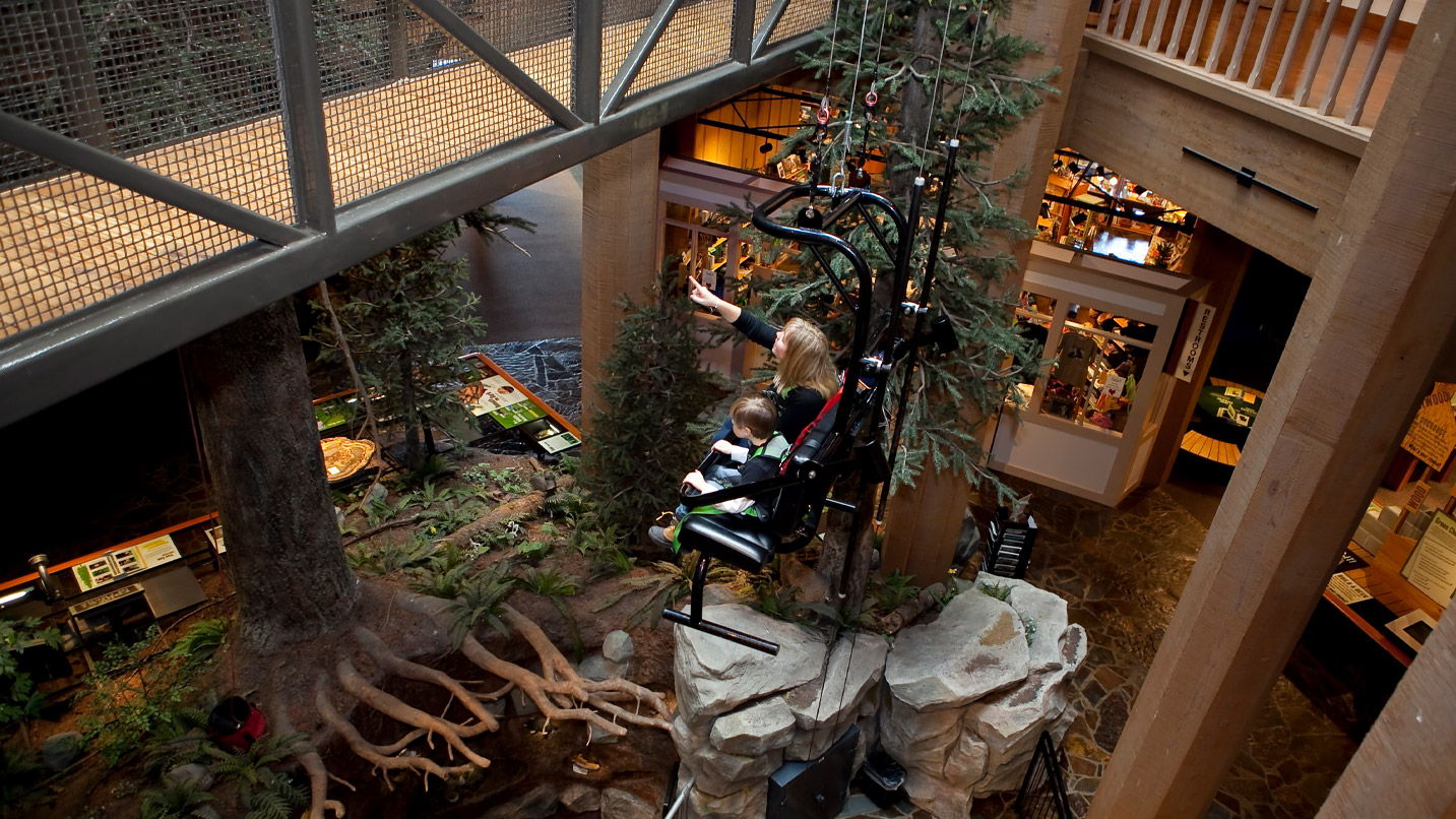 Woman and child sit on seat looking at display of trees in building