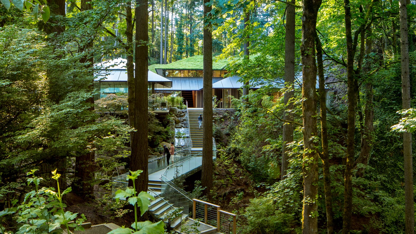Tall staircase leads to building with mossy roof and trees in forest all around