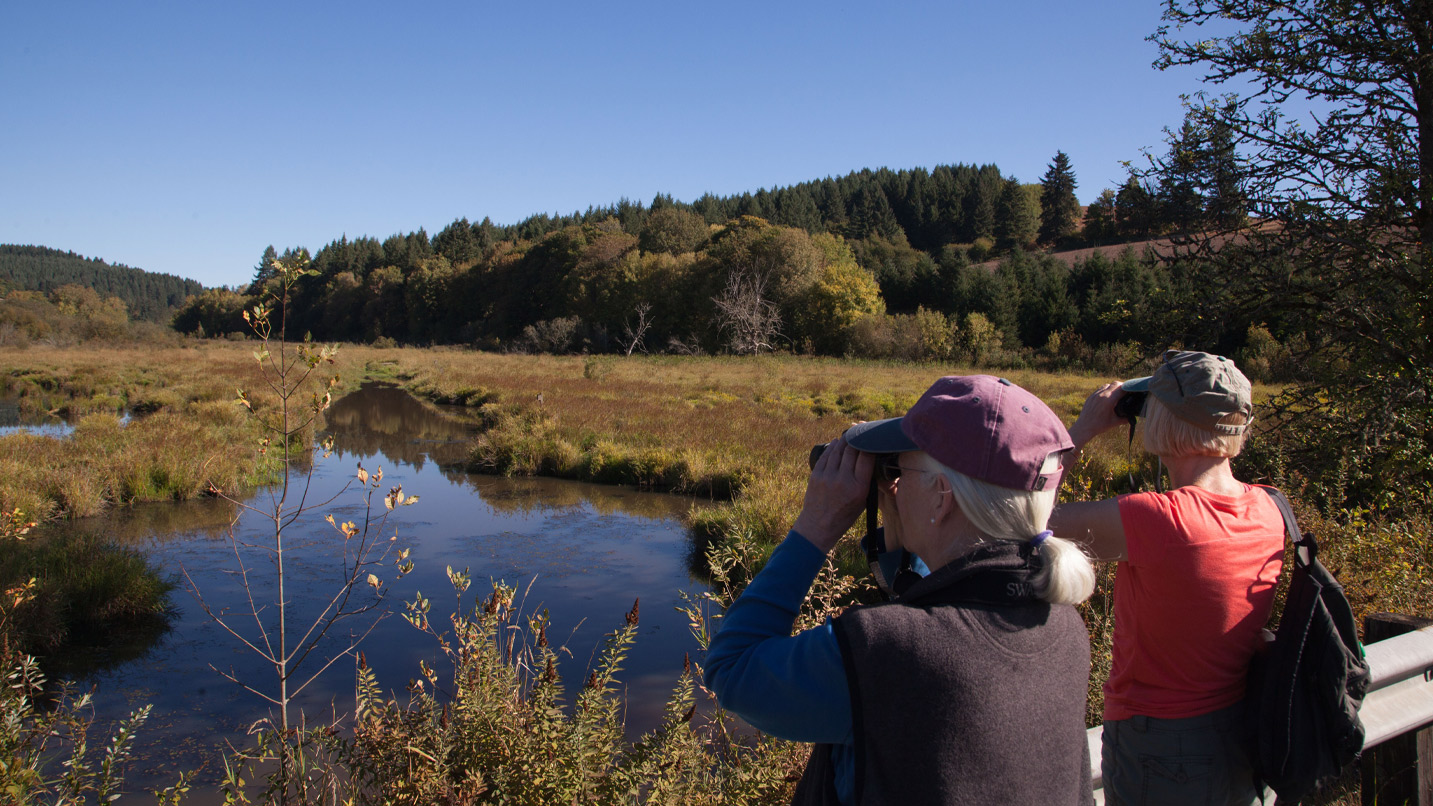 Two people looking through binoculars out onto wetlands.