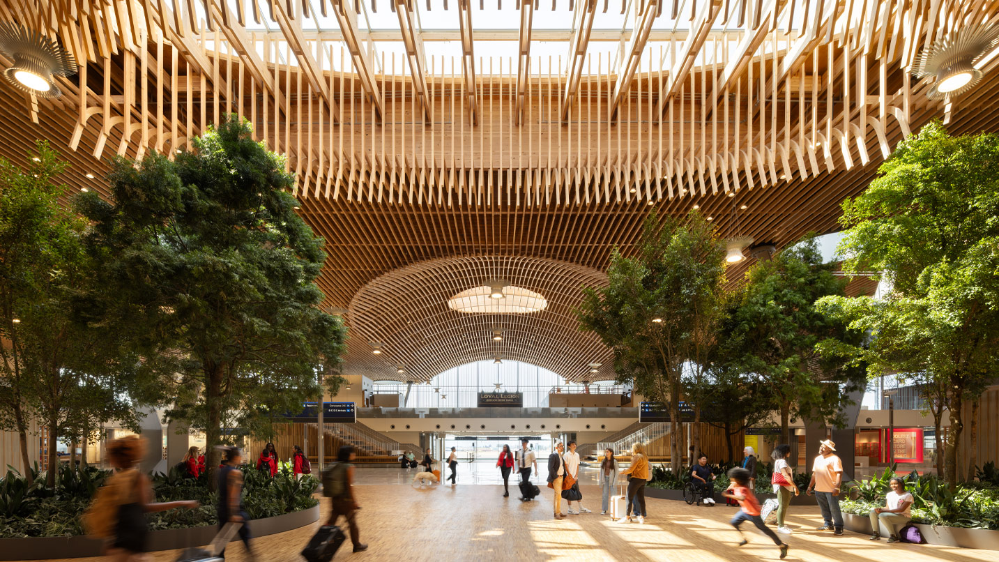 A large wooden-slatted roof with trees and people underneath.