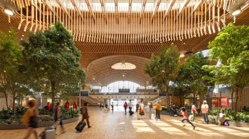 People walk around wooden floor with trees and wood-beam ceiling
